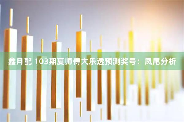 鑫月配 103期夏师傅大乐透预测奖号：凤尾分析