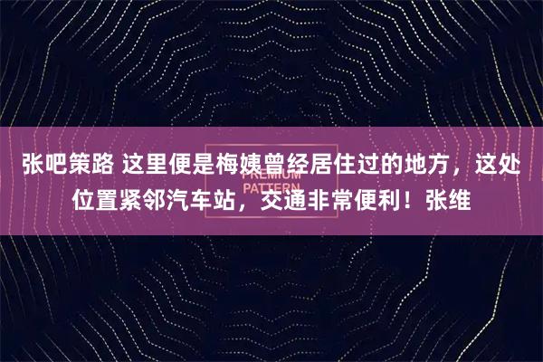张吧策路 这里便是梅姨曾经居住过的地方，这处位置紧邻汽车站，交通非常便利！张维