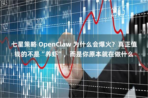 七星策略 OpenClaw 为什么会爆火？真正值钱的不是“养虾”，而是你原本就在做什么