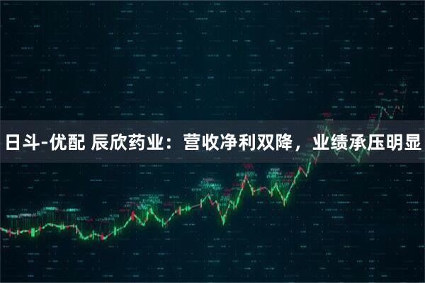 日斗-优配 辰欣药业：营收净利双降，业绩承压明显
