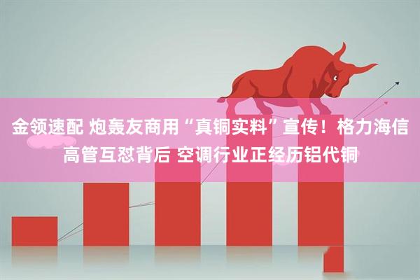 金领速配 炮轰友商用“真铜实料”宣传！格力海信高管互怼背后 空调行业正经历铝代铜